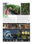Page: - 52 | High Times