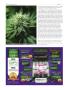 Page: - 54 | High Times