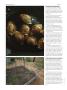 Page: - 70 | High Times