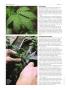 Page: - 74 | High Times