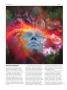 Page: - 84 | High Times