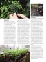 Page: - 94 | High Times
