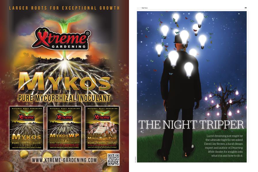 THE NIGHT TRIPPER