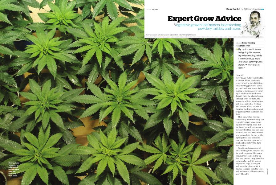 Expert Grow Advice