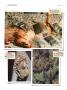 Page: - 132 | High Times