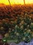 Page: - 16 | High Times