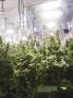 Page: - 21 | High Times