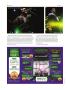 Page: - 50 | High Times