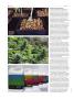 Page: - 62 | High Times