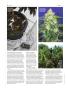 Page: - 64 | High Times