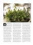 Page: - 70 | High Times