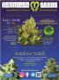 Page: - 77 | High Times
