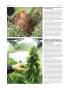 Page: - 78 | High Times