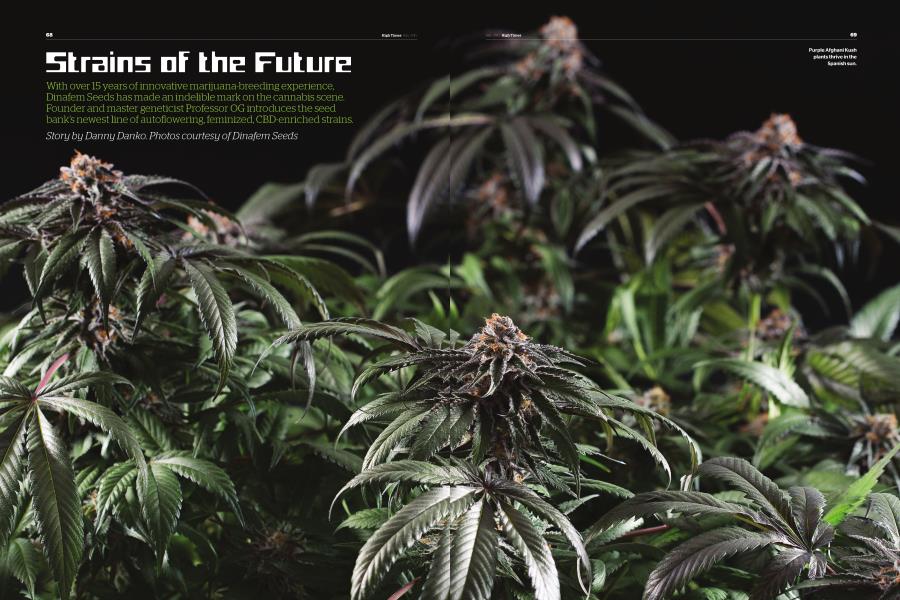 Strains of the Future