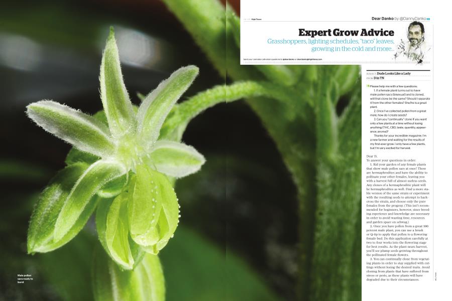 Expert Grow Advice