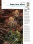 Page: - 111 | High Times