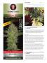 Page: - 114 | High Times