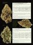 Page: - 70 | High Times