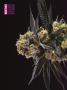 Page: - 72 | High Times