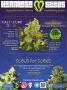 Page: - 77 | High Times