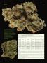Page: - 80 | High Times