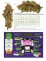 Page: - 82 | High Times