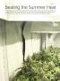 Page: - 94 | High Times