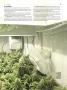 Page: - 95 | High Times
