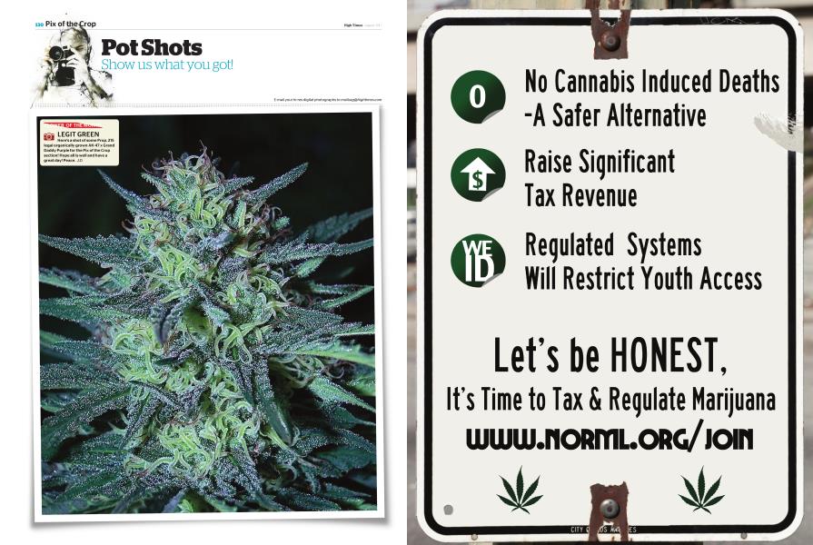 Pot Shots High Times August 2017