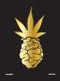 Page: - 105 | High Times