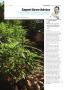 Page: - 123 | High Times