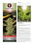 Page: - 126 | High Times