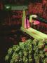 Page: - 16 | High Times