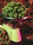 Page: - 17 | High Times