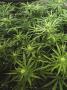 Page: - 18 | High Times