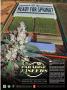 Page: - 35 | High Times