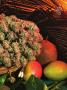 Page: - 77 | High Times