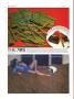 Page: - 78 | High Times