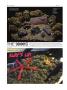 Page: - 88 | High Times