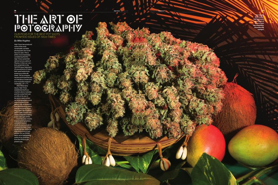 THE ART OF POTOGRAPHY