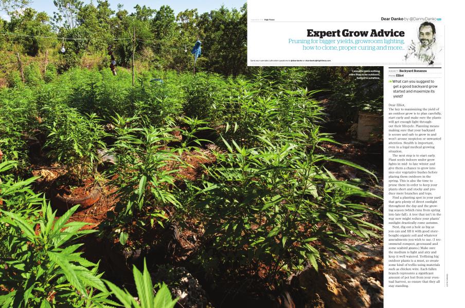 Expert Grow Advice