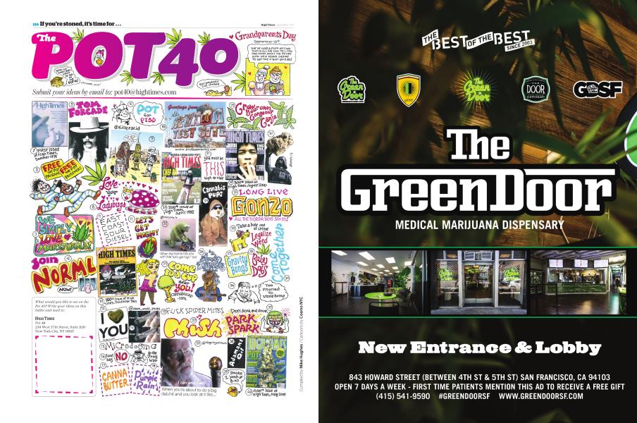 The POT 40