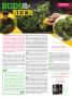 Page: - 115 | High Times