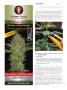 Page: - 134 | High Times