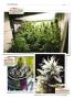 Page: - 148 | High Times
