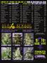 Page: - 158 | High Times