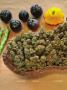 Page: - 20 | High Times