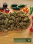Page: - 21 | High Times
