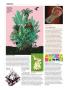 Page: - 30 | High Times