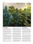 Page: - 66 | High Times